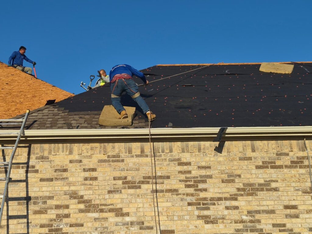 Three roofers are actively working on a residential roof. One section shows old asphalt shingles being removed, revealing underlayment, while another section has new plywood decking exposed.