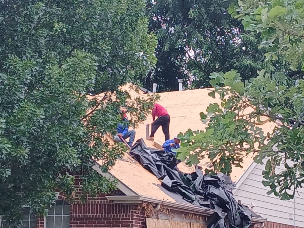 Three roofers are actively working on a residential roof, which appears to be in the process of being stripped or re-decked, with some black underlayment or debris visible. Large trees partially obscure the view of the house and the workers.