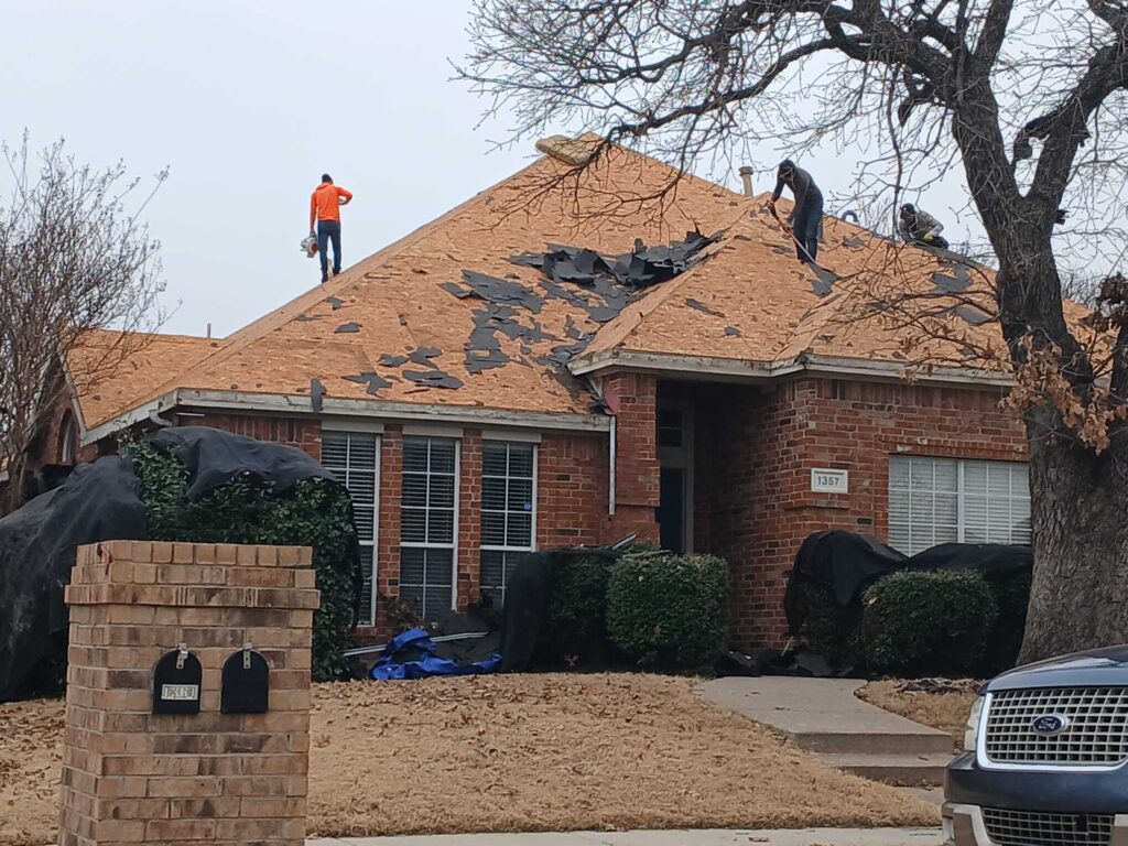Several roofers are actively removing old asphalt shingles from a residential brick house, exposing the plywood decking. Protective tarps are visible around the base of the house and bushes.