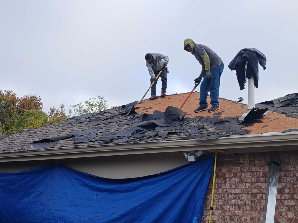 Two roofers are actively tearing off old asphalt shingles from a residential roof, with the plywood decking visible underneath. A blue tarp is draped over the side of the house below the roofline.
